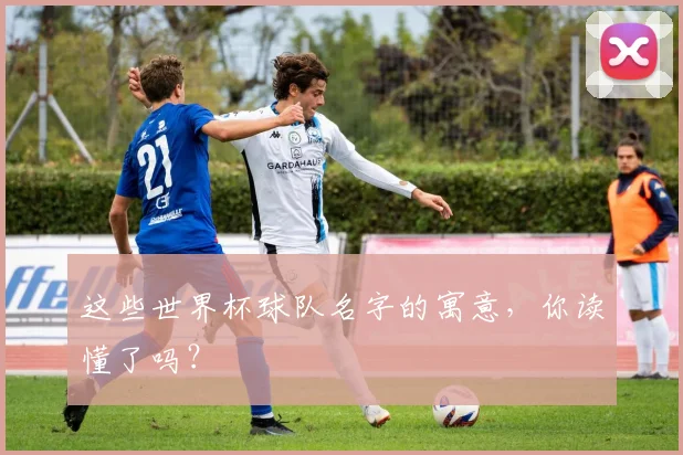 这些世界杯球队名字的寓意，你读懂了吗？